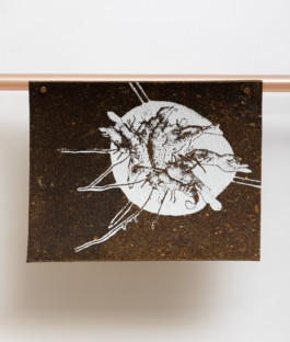 Gülşah Mursaloğlu