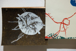 Gülşah Mursaloğlu