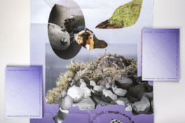 Gülşah Mursaloğlu