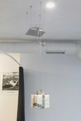 Gülşah Mursaloğlu