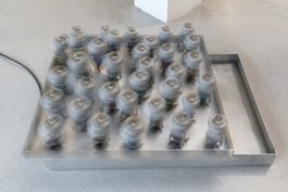 Gülşah Mursaloğlu