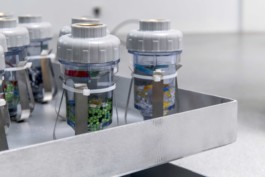 Gülşah Mursaloğlu