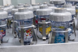 Gülşah Mursaloğlu