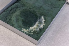 Gülşah Mursaloğlu