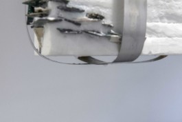 Gülşah Mursaloğlu