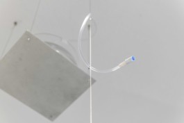 Gülşah Mursaloğlu