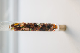 Gülşah Mursaloğlu