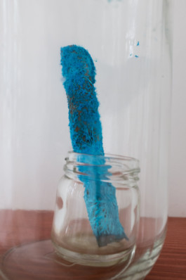 Gülşah Mursaloğlu