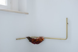 Gülşah Mursaloğlu