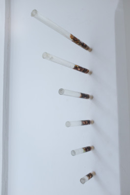 Gülşah Mursaloğlu