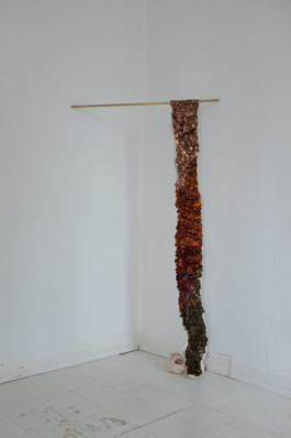 Gülşah Mursaloğlu