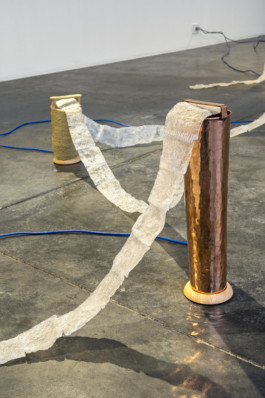 Gülşah Mursaloğlu