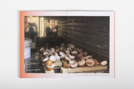 Gülşah Mursaloğlu