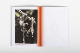 Gülşah Mursaloğlu