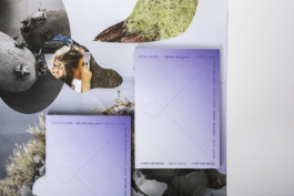 Gülşah Mursaloğlu