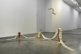 Gülşah Mursaloğlu