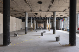 Gülşah Mursaloğlu