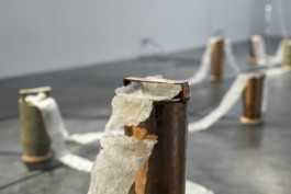 Gülşah Mursaloğlu