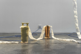 Gülşah Mursaloğlu