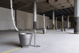 Gülşah Mursaloğlu