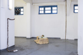 Gülşah Mursaloğlu