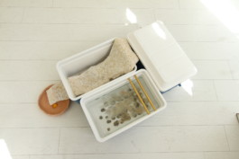 Gülşah Mursaloğlu