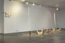 Gülşah Mursaloğlu