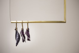 Gülşah Mursaloğlu