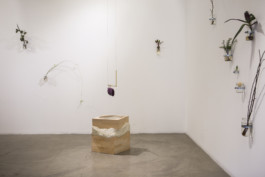 Gülşah Mursaloğlu