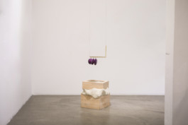 Gülşah Mursaloğlu