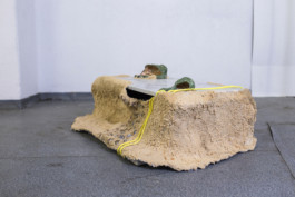 Gülşah Mursaloğlu