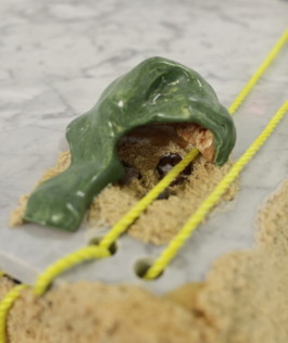 Gülşah Mursaloğlu