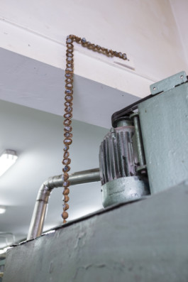 Gülşah Mursaloğlu