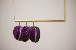 Gülşah Mursaloğlu