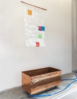 Gülşah Mursaloğlu