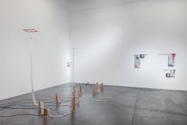 Gülşah Mursaloğlu