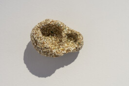 Gülşah Mursaloğlu