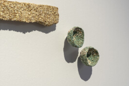 Gülşah Mursaloğlu