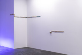 Gülşah Mursaloğlu