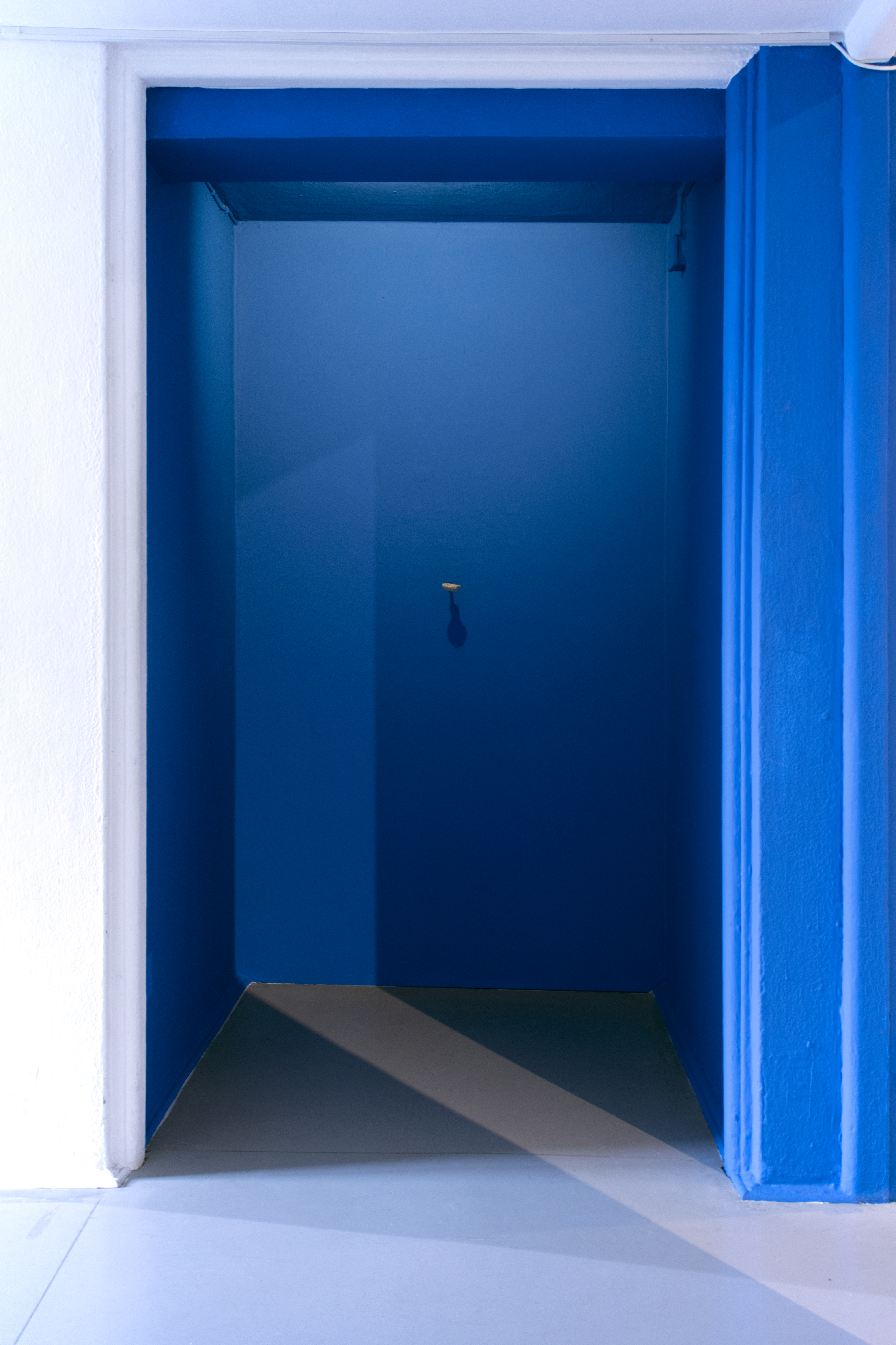 Gülşah Mursaloğlu