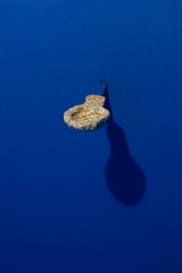 Gülşah Mursaloğlu