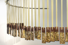 Gülşah Mursaloğlu