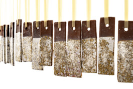 Gülşah Mursaloğlu