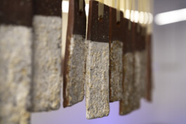 Gülşah Mursaloğlu