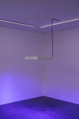 Gülşah Mursaloğlu