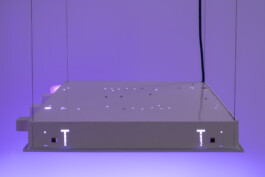 Gülşah Mursaloğlu