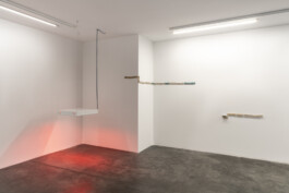 Gülşah Mursaloğlu