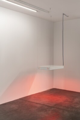 Gülşah Mursaloğlu